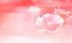 送玫瑰花的含义-送红玫瑰花的含义