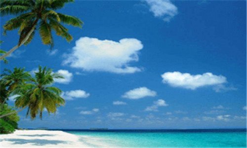 二盛夏科技使用教程