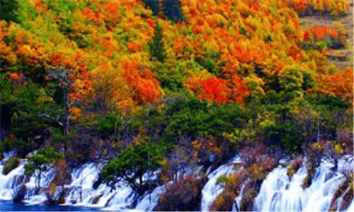 一11月是什么星座