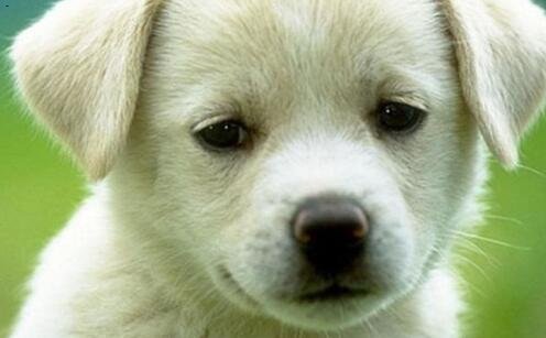 一新公司注册流程