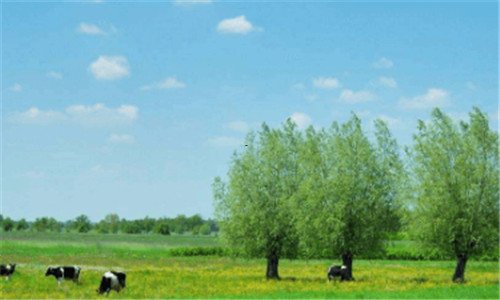 二自己网上注册公司流程