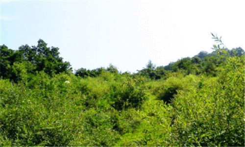 三注册新公司所有流程