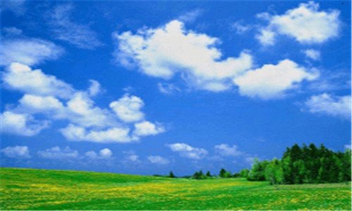 三网络注册商标