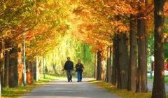君子之交淡若水-君子之交淡若水庄子