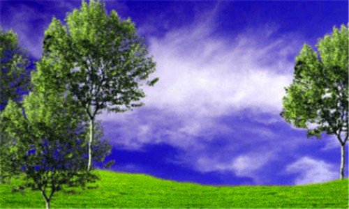 二淘宝怎么登录不了什么原因