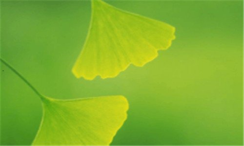 二江西科技学院官方网站