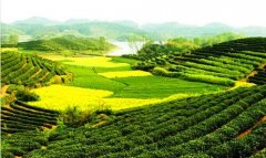 好玩网络游戏排行榜-好玩的网络游戏端游