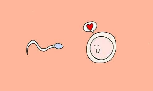 二毕业好几年了怎么查中考成绩