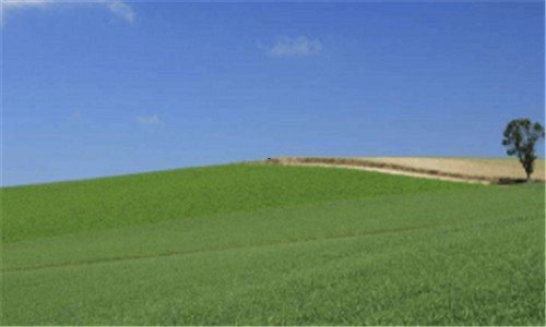 三12306官网登录