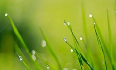 主题桌面-2019最火手机壁纸