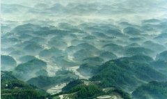 行密贡鹅怎么样-行密贡鹅在央视7套视频