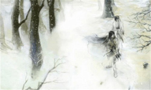 一狗粮怎么泡