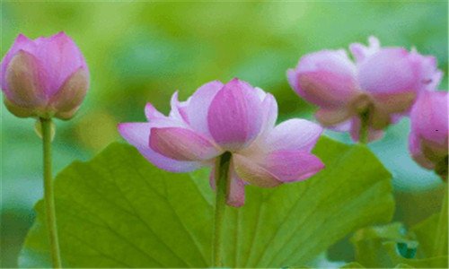 一126邮箱登陆首页