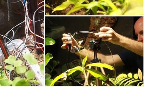 三win7 ssid中文乱码补丁