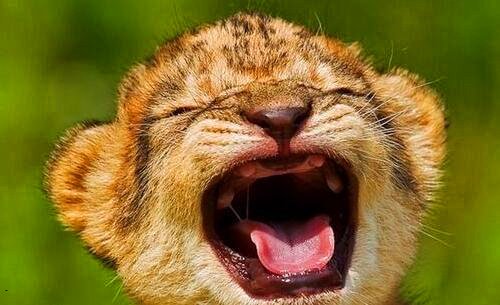 二电子邮件大全账号密码