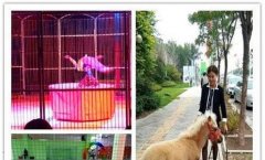 养老保险怎么转移-换单位了社保怎么转移