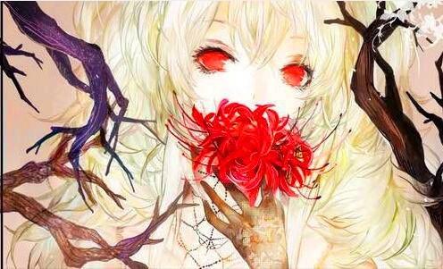 二芝华士威士忌多少度