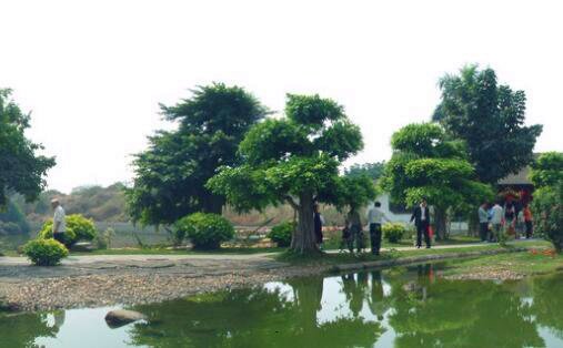 三qq号游戏登录记录查询