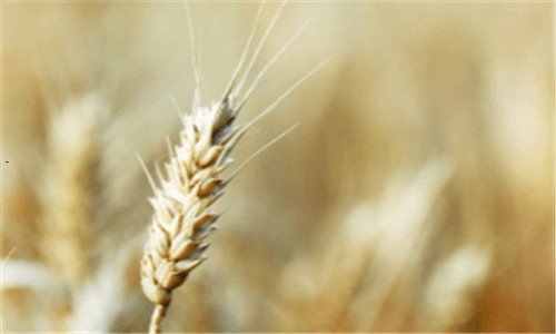 二qq登录地址怎么详细查询