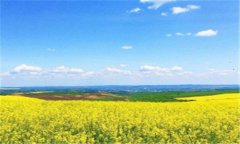 凉山州住房公积金查询-身份证查询住房公积金