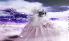 风雨同舟什么意思-夫妻风雨同舟的句子