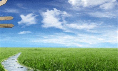 二网游生活txt下载