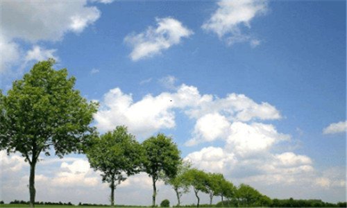 一山东生活频道