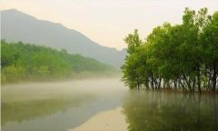 苹果新品发布会-2020年苹果春季发布会