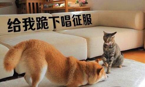 一艾若的红楼生活