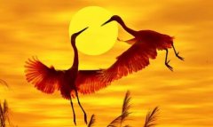 中国钢结构企业排名-中国钢结构安装公司排名
