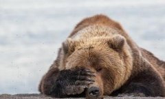 海尔空调质量怎么样-格力美的海尔拆解对比