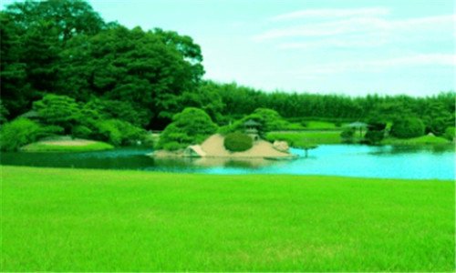 二电视剧收视率排行榜