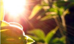 网络兼职工作-月入2万的10个小生意