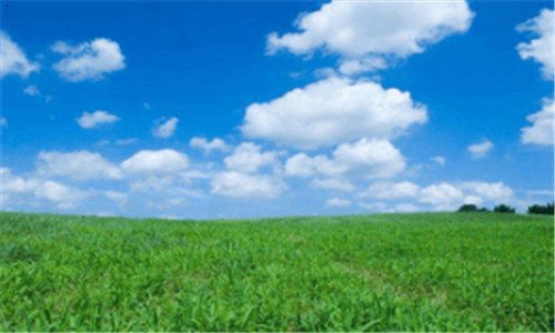 一汽车陪练公司