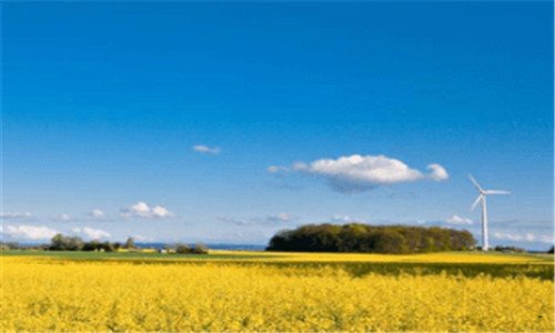 三国寿e家登录密码