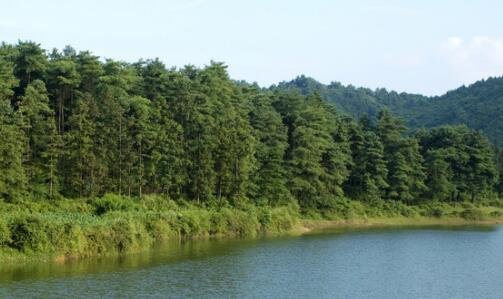 三太平车险口碑怎么样