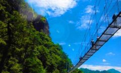 空白简历表格-求职简历表格空白样本