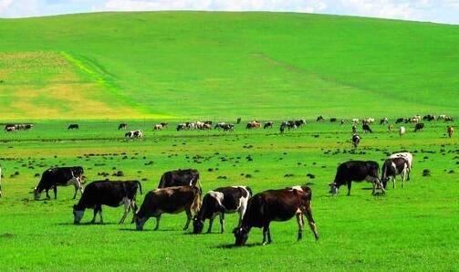 一查询商标是否被注册