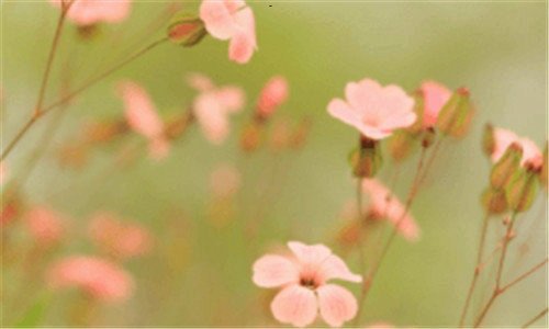 三画册优秀案例欣赏