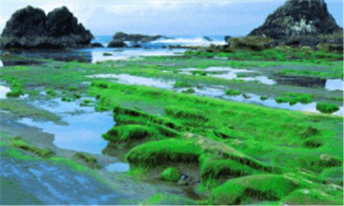 二央视 一氧化二氢 道歉