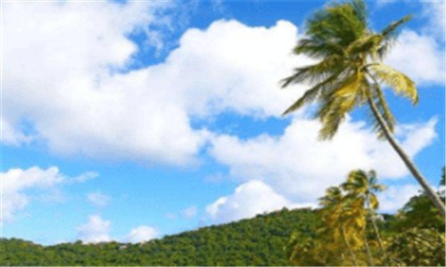 二注册一个公司一年费用