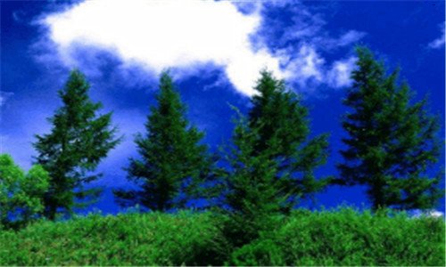 二代理投票平台登录