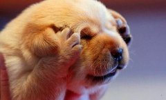 偏执是什么意思-偏执性格的人最怕什么