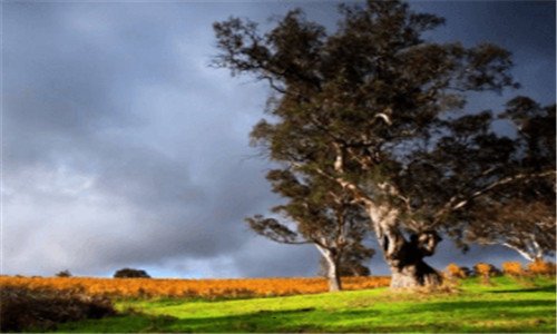 三qq邮箱申请免费注册