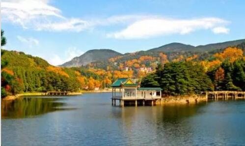 三无需注册免费网络电话