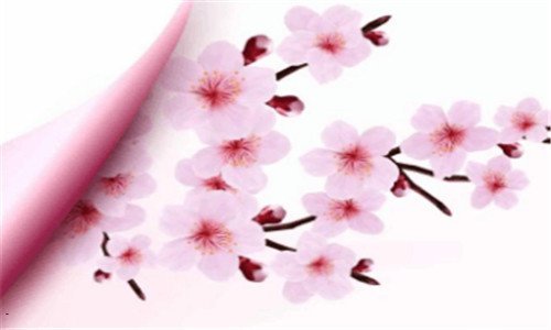 二鼻子捏大后的补救方法
