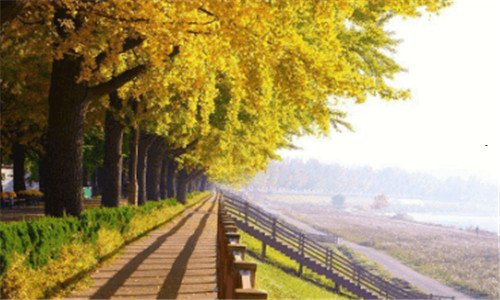 二飞机能飞出大气层吗