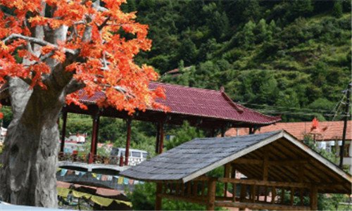 三山东科技大学考研率