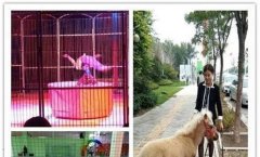 合肥科技农村商业银行-农商行为什么待遇高