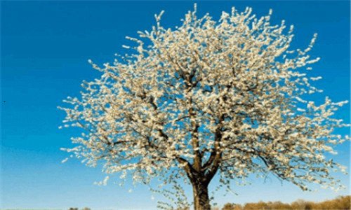 二免费域名空间注册网站